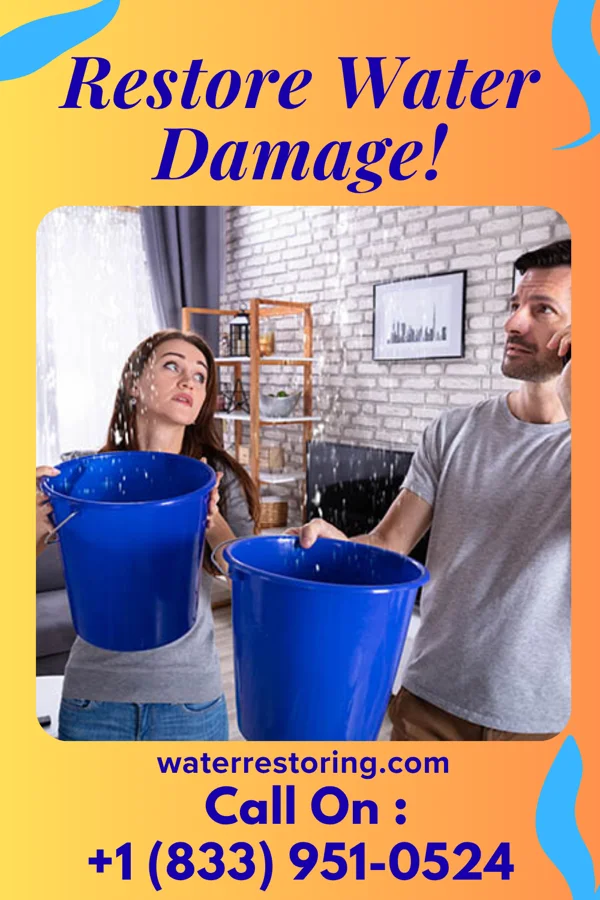 water restoration United Water Removal Brothers Rapid Valley
