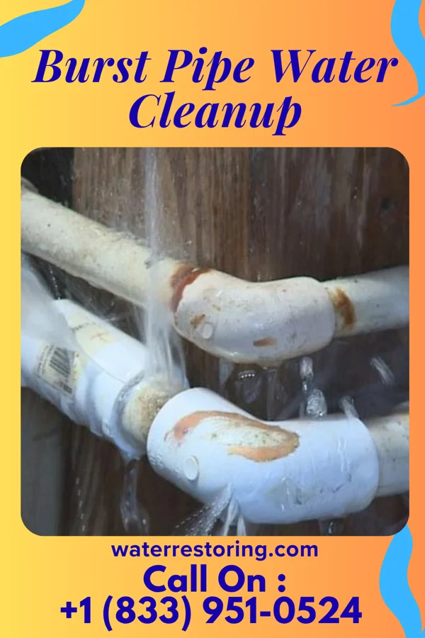 Burst Pipe Water Cleanup in Rapid Valley, SD