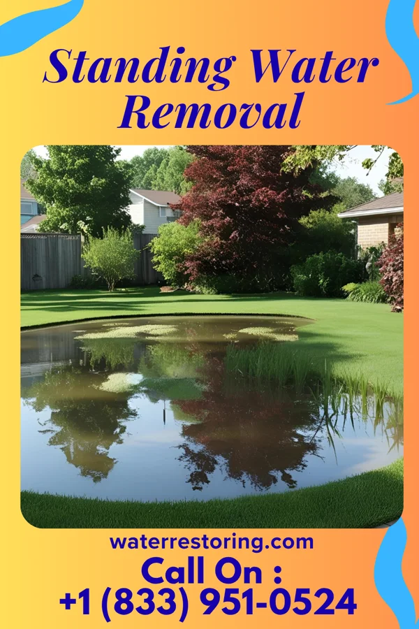 Standing Water Removal in Rapid Valley, SD